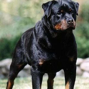 Meet your Posher, Jack